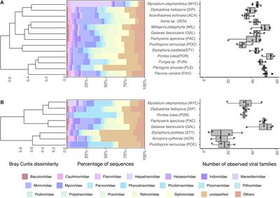 Coral-Associated Viral Assemblages From the Central Red Sea Align With Host Species and Contribute to Holobiont Genetic Diversity